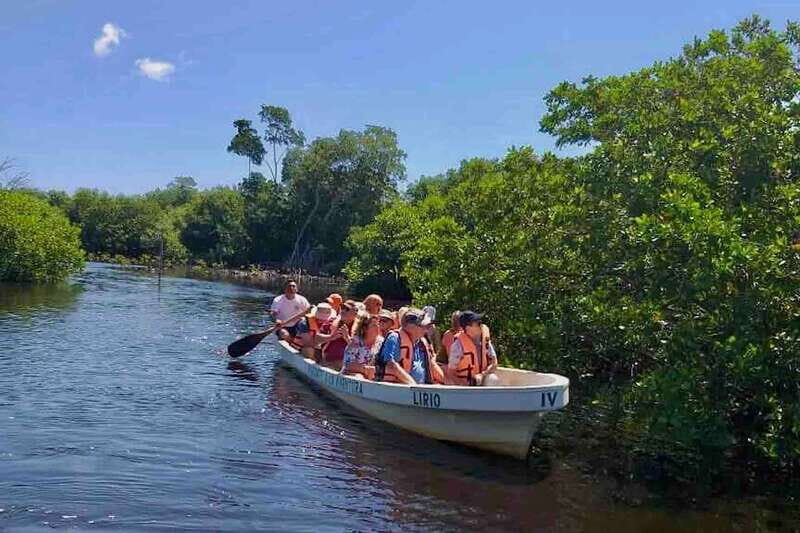 4-in-1 Tour - Mazunte, Cacao Factory & Turtle Spawn/Release - A Closer Look at the Itinerary