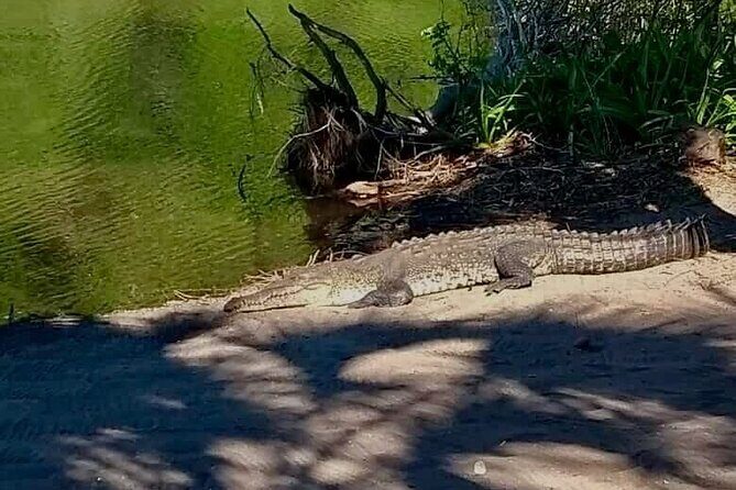 4-in-1 Tour - Mazunte,Cacao Factory, La Ventanilla & Turtle Spawn - Who Will Enjoy This Tour?
