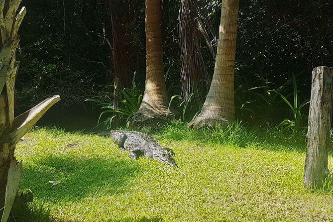 4-in-1 Tour - Mazunte,Cacao Factory, La Ventanilla & Turtle Spawn - Final Thoughts