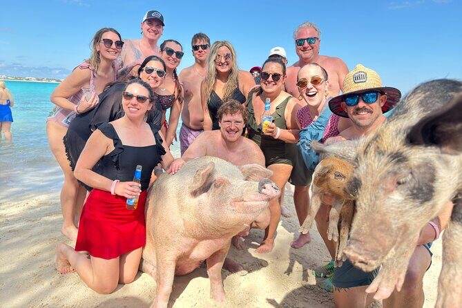 4-Island Tour Swimming Pigs, turtles, snorkeling , rose island, - What to Expect from the 4-Island Tour: A Practical Breakdown