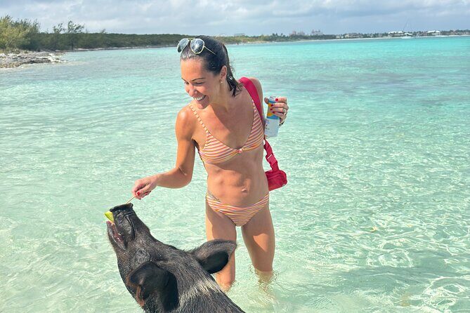 4-Island Tour Swimming Pigs, turtles, snorkeling , rose island, - Frequently Asked Questions (FAQs)