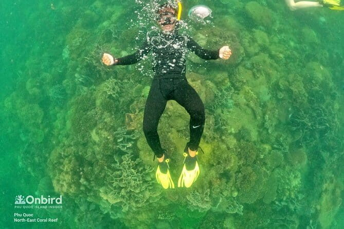 4 Islands & 2 Reefs - Discovery Snorkeling & Relaxing (MAX 12) - What Reviewers Say and Why It Matters