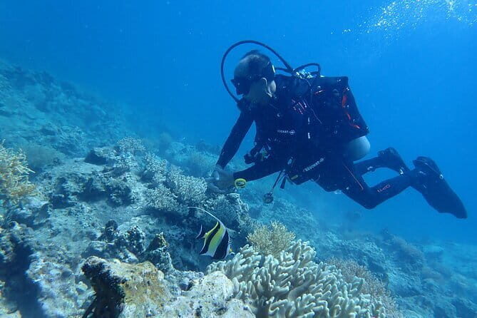 4 Islands & 2 Reefs - Discovery Snorkeling & Relaxing (MAX 12) - FAQs