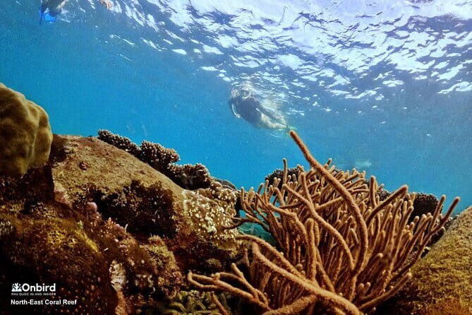 4 Islands & 2 Reefs - Discovery Snorkeling & Relaxing (MAX 12) - Final Thoughts