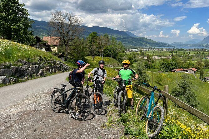 4 Lakes E-Bike Guided Tour and Lake Cruise - The Wichelsee: An Additional Lake