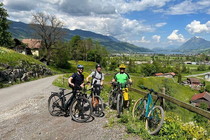 4 Lakes E-Bike Guided Tour and Lake Cruise - The Ride: Balance and Comfort