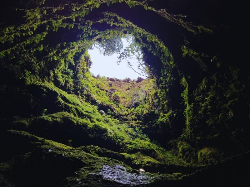 4 Peaks, 4 Vulcanoes tour - Discover the Volcanic Heart of Terceira Island