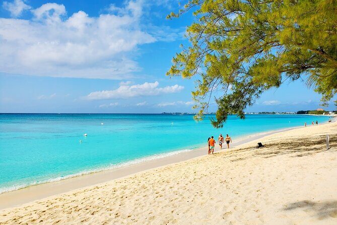 4 Stops Tour: Stingray, Snorkeling, Starfish & 7 Mile Beach - Exploring Grand Cayman’s Marine and Beach Wonders