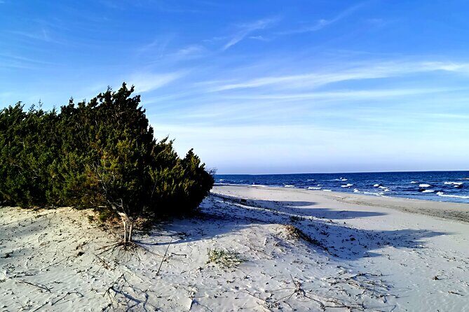 4 × 4 excursion to the beaches of Biderosa and Capo Comino - FAQ