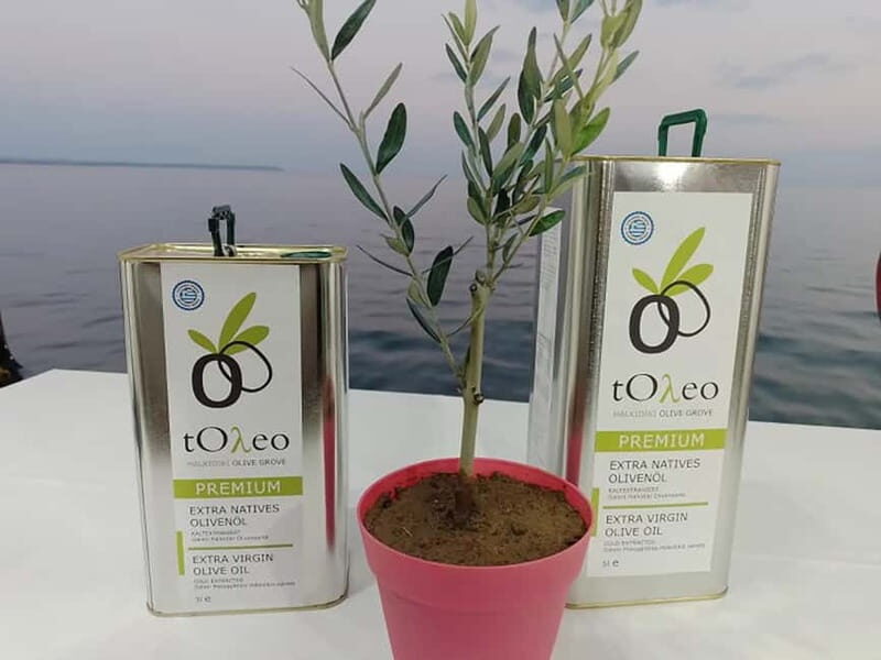 45 min. Olive Oil Workshop in Kriopigi - Halkidiki. - Why This Workshop Works Well for Travelers