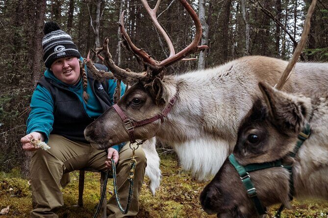 45 Minute Private Reindeer Tour - Exploring the Experience in Detail