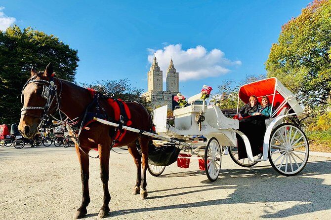 45 Minute VIP Central Park Carriage Ride - FAQ