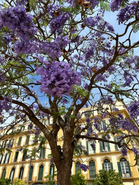 45 minutes flamenco dance class for family in Málaga - An In-depth Look at the Flamenco Family Class in Málaga