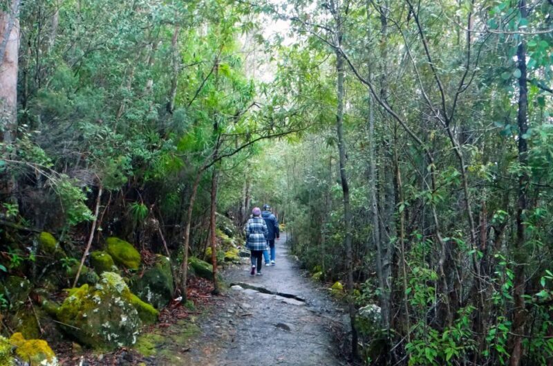 48-Hour Hobart City Loop Tour and Mt Wellington - The Sum Up