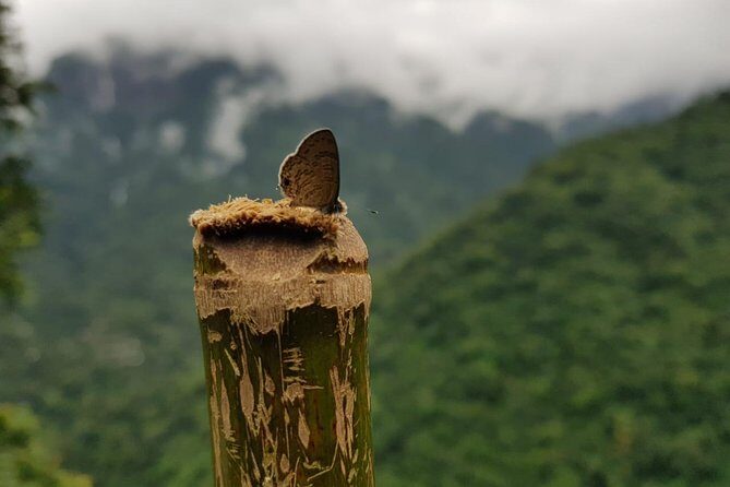 4D/3N Glimpse of Meghalaya - An In-Depth Look at the 4D/3N Glimpse of Meghalaya Tour