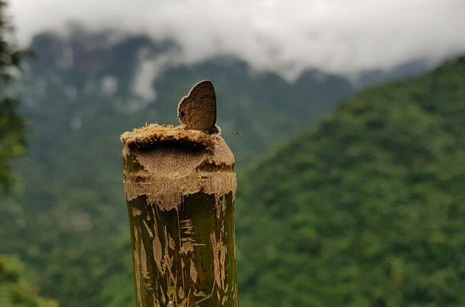 4D/3N Glimpse of Meghalaya - Frequently Asked Questions