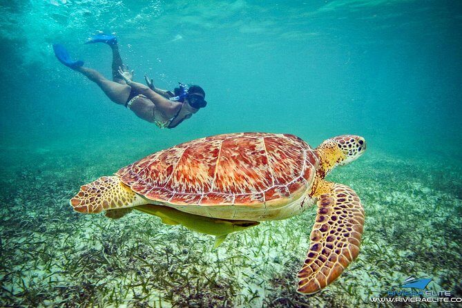 4H Private 38'Catamaran All-Inclusive in Tulum & Playa del Carmen - FAQs