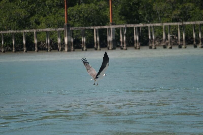 4H Supercharged Jetski Private Tour Langkawi + Drone - Final Thoughts