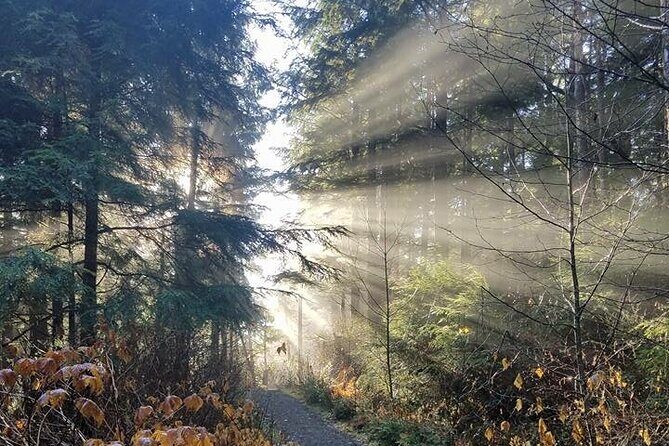 4hr Custom Private Tour of Ketchikan (14 People) Wildlife + More - An In-Depth Look at the 4-Hour Private Tour in Ketchikan