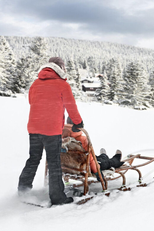 4hr Dog Sledding Trip on Finnmarksvidda - Who Would Love This Experience?