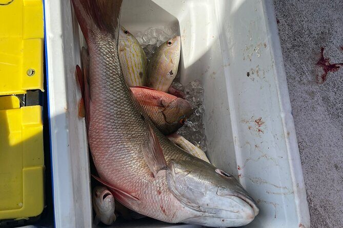 4HR-Halfday Private Fishing Tour in Gracebay - The Sum Up: Is It a Good Fit?