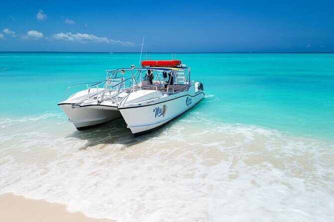 4HR Private Half-day Boat in Gracebay - In-Depth Review of the 4-Hour Private Boat in Grace Bay