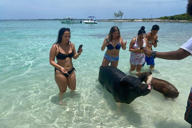 4hr Private Tour Island Hop Snorkel w/ Turtles & Sip Bahama Mamas - Who Will Love This Tour?