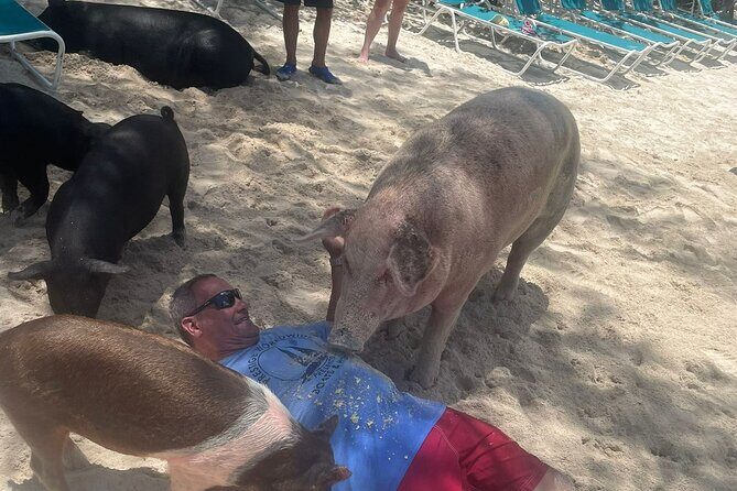 4hr Private Tour Island Hop Snorkel w/ Turtles & Sip Bahama Mamas - Final Thoughts