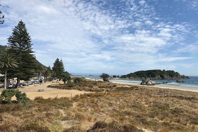 4hr Tauranga Scenic History and Tasting Tour FREE Kiwifruit Tasting - Transportation and Group Dynamics