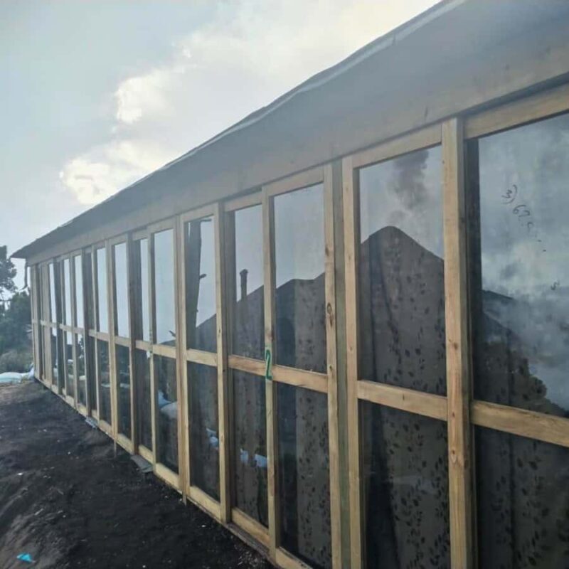 4WD Acatenango Volcano Tour & Fuego / All Inclusive ! - Who Is This Tour Best For?