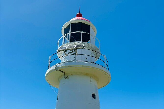 4WD Beach and Walking Tour Adventure (Half Day) - Practical Details and Considerations