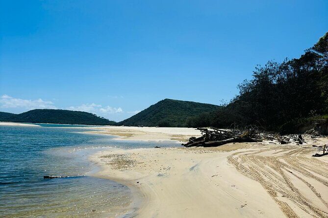 4WD Beach and Walking Tour Adventure (Half Day) - Who Should Consider This Tour?
