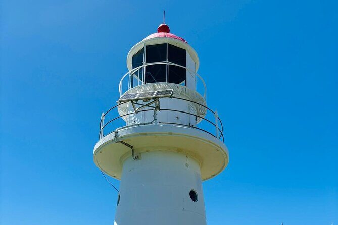 4WD Beach and Walking Tour Double Island Point (Full Day) - Who Should Consider This Tour?