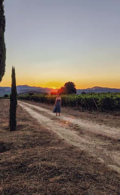 4x4 Adventure in the Secret Douro: Wines, Villages, and Flavors - Who Will Enjoy This Experience?