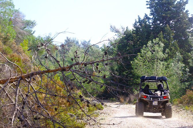 4x4 Buggy Adventures - Off-road Polaris Experience - The Off-Road Trails: Winding Paths, Mountain Views, and Stream Crossings
