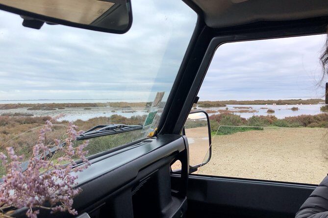 4x4 Camargue Safari 4h - Departure from Arles - A Closer Look at the Camargue Safari Experience