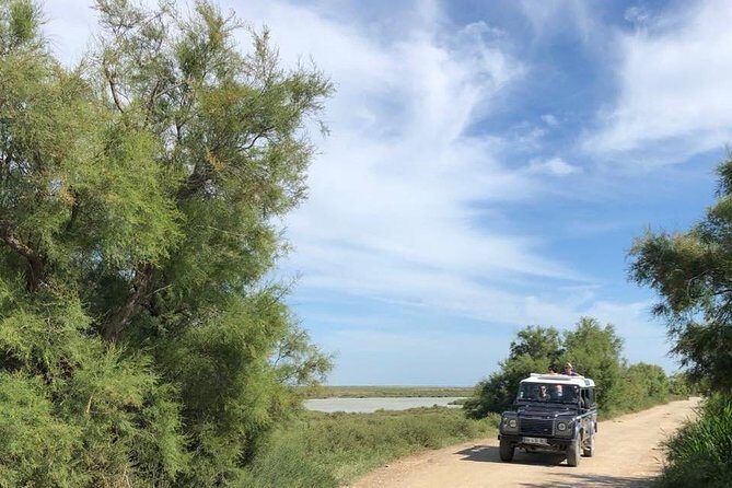 4x4 Camargue Safari 4h - Departure from Arles - FAQ