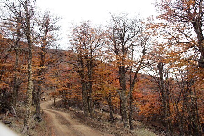 4x4 in Cerro Frías - Frequently Asked Questions