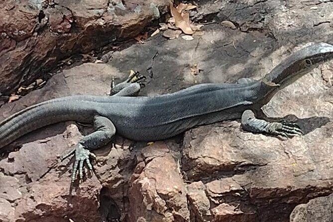 4x4 Litchfield Park Adventures - Final Thoughts