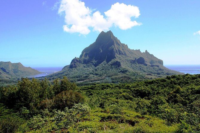 4x4 Moorea Safari Tours : With Hotel transfers - The Ride and Group Dynamics
