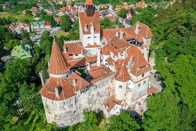 4x4 Private 2-days Tour of the Carpathian Mountains from Bucharest - Day 2: Legendary Castles and Wildlife