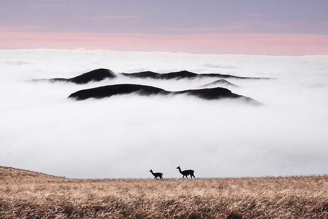 4x4 Private Photo Safari in the Andes - Villavicencio - A Deeper Look at the 4x4 Private Photo Safari in the Andes