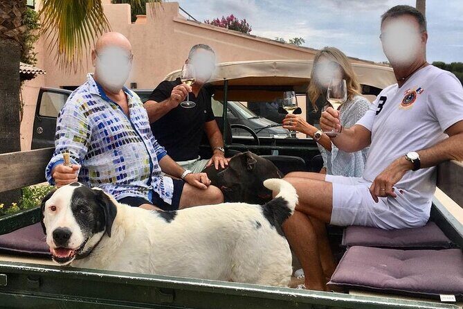 4x4 ride in a winery followed by a tasting - Wine Tasting: A Genuine Provencal Affair