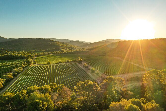 4x4 ride in a winery followed by a tasting - Who Will Enjoy This Tour?