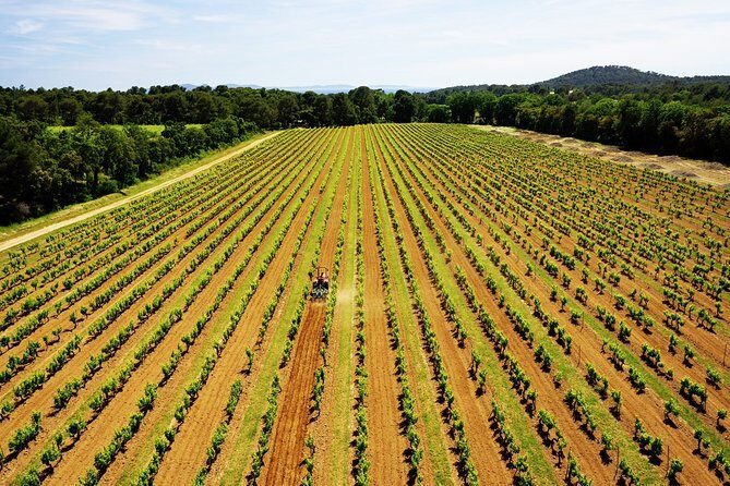 4x4 ride in a winery followed by a tasting - Final Thoughts
