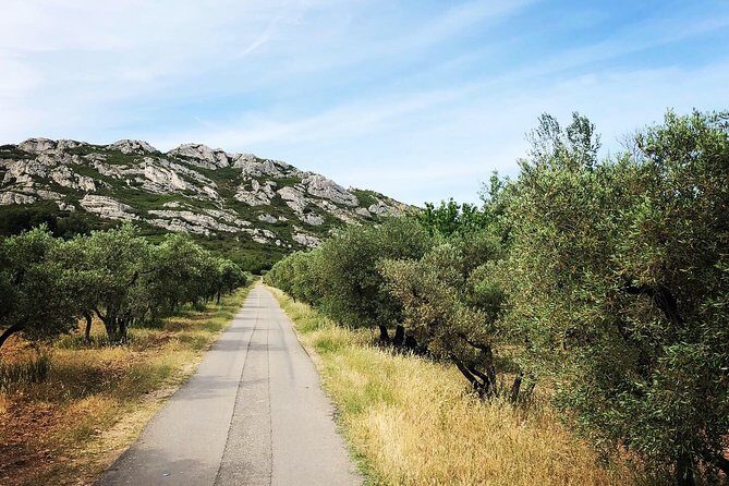 4x4 safari - 4h Alpilles Provence - Departure from Arles - A Deep Dive into the 4x4 Safari Experience in Provence