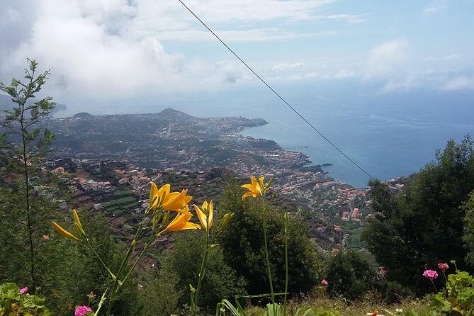4x4 Safari Half day Poncha, Mountains, Vineyards and Cabo Girão Small group - Who Will Love This Tour?