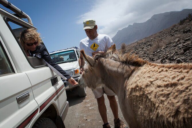 4X4 Safari: Jandía Natural Park and Cofete - A Deep Dive into the 4x4 Safari Experience