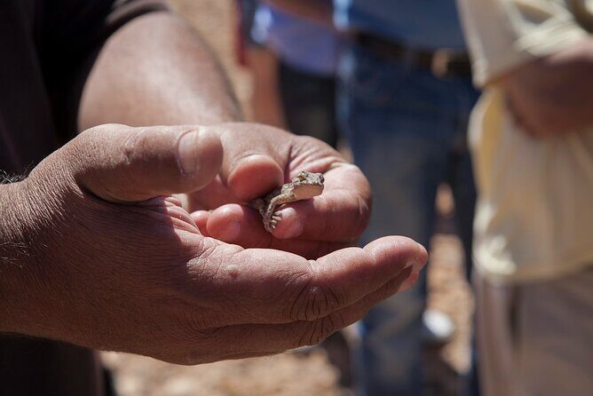 4X4 Safari: Jandía Natural Park and Cofete - Final Thoughts