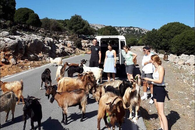 4x4 Safari Tour South Crete Agiofarago Matala - A Deep Dive into the Experience